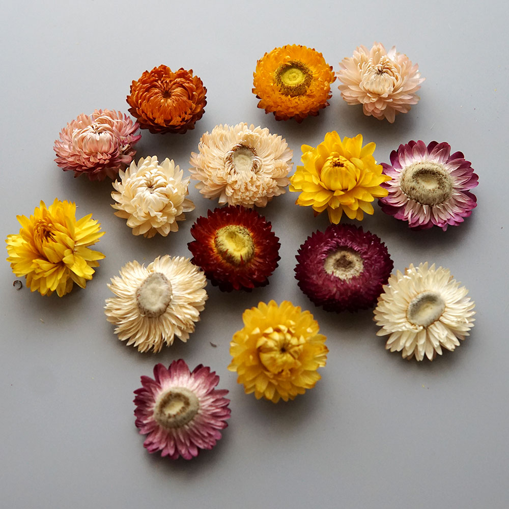 Natural Dried Colorful Chrysan - Baby Product 评论和价格